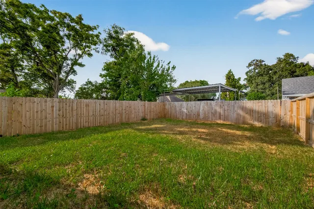 a view of a backyard with plants and large tree