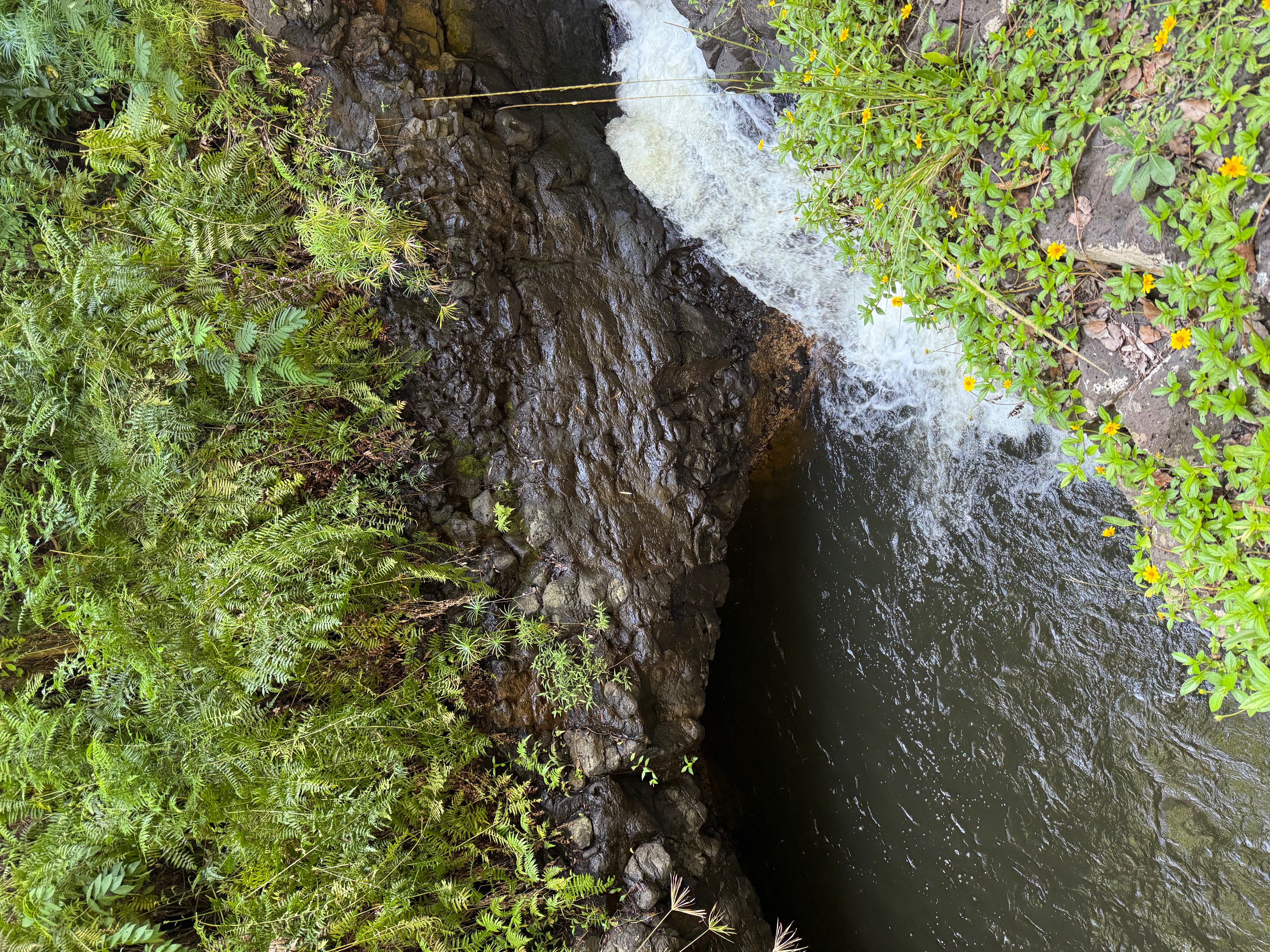 1750 Ahiahi Road Kapaa, HI 96746 - Photo 16 of 22