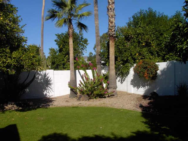 20 East Calavar Road Phoenix, AZ 85022 - Photo 5 of 6 Additional Photo