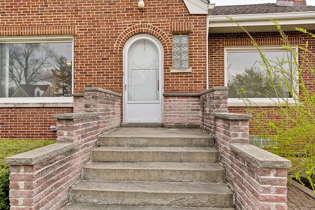 317 South Pine Street Mount Prospect, IL 60056 - Photo 2 of 20