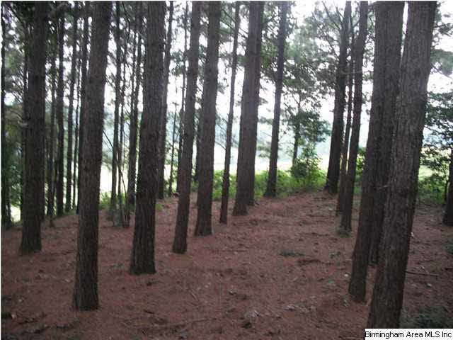 Pepper Road, Unit 61 Ashland, AL 36251 - Photo 2 of 10