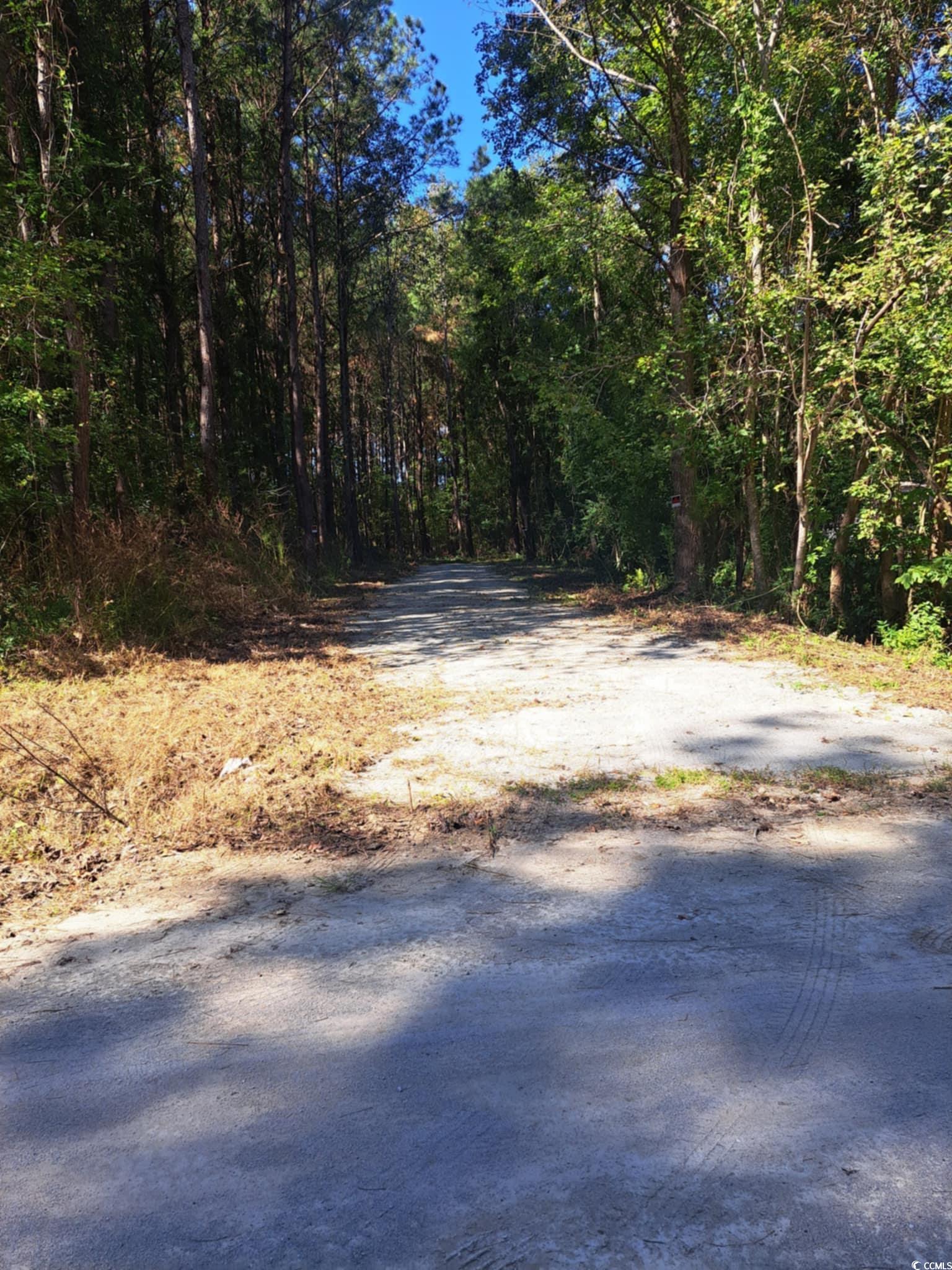 Tbd Southfork Road Green Sea, SC 29545 - Photo 5 of 5