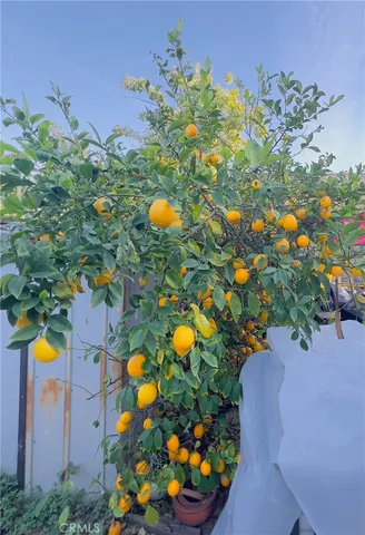 $978,000 | 231 North Ave 60, Los Angeles, CA 90042