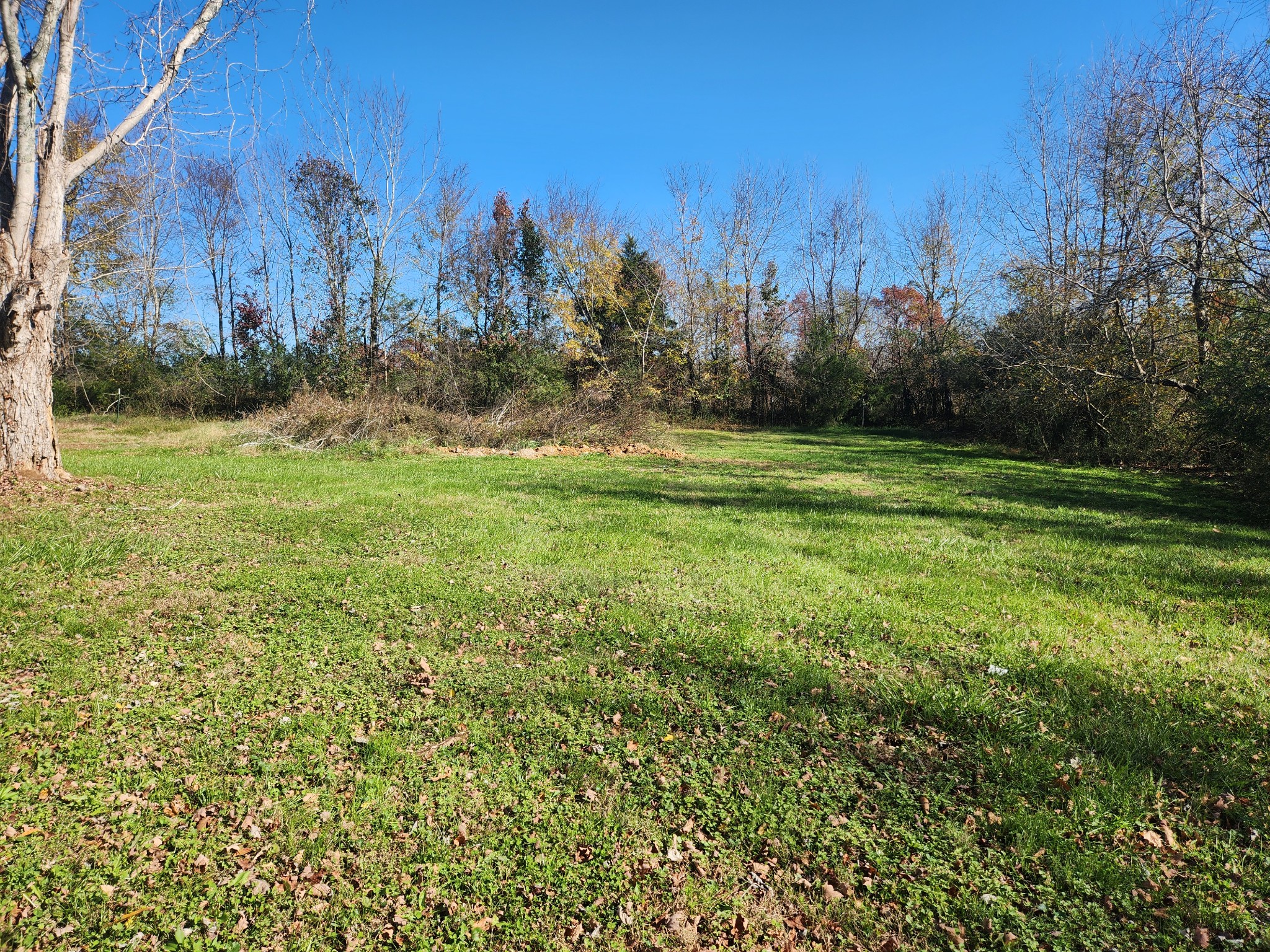 955 Rose Hill Road Pulaski, TN 38478 - Photo 30 of 30