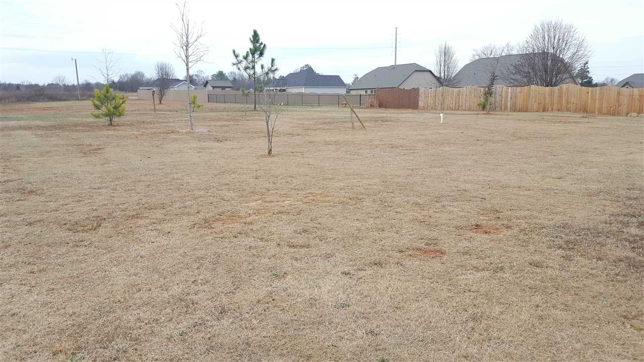220 Woodcrest Court Inman, SC 29349 - Photo 22 of 25