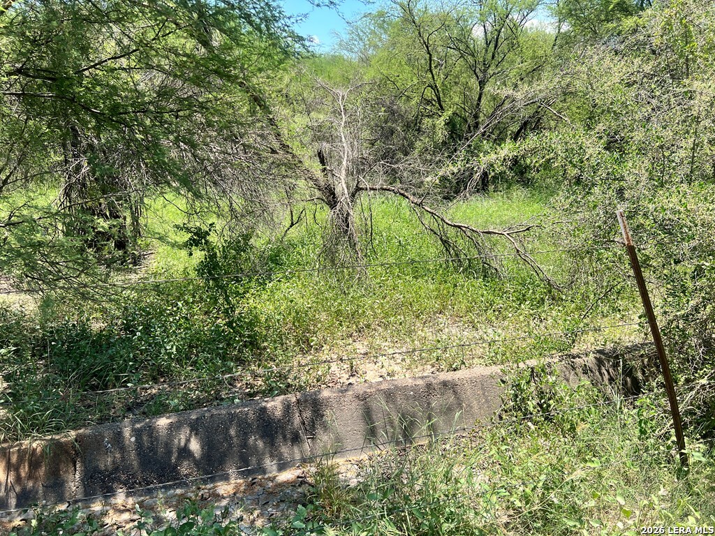1022 Silver Bridge Road Quemado, TX 78877 - Photo 8 of 9