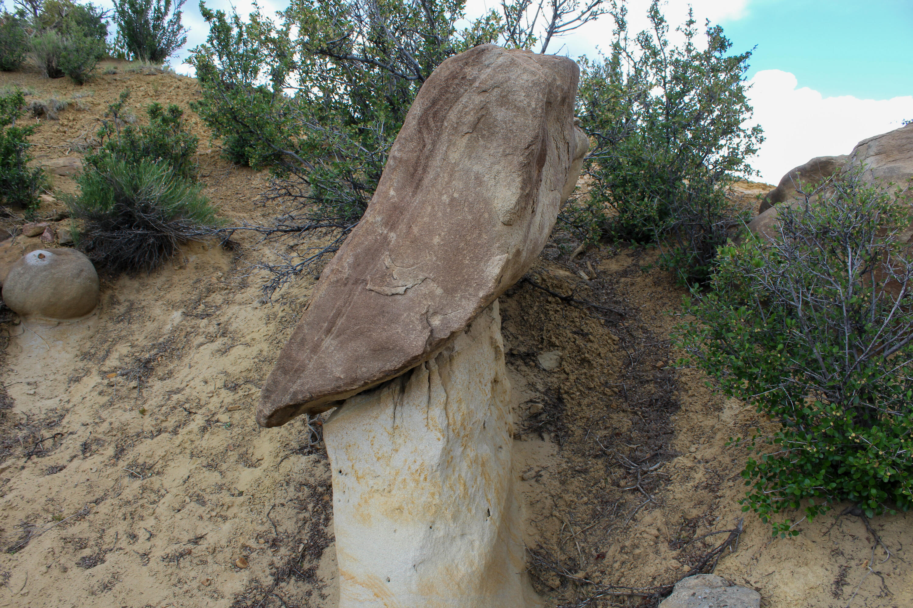 200 County Road Cuba, NM 87013 - Photo 28 of 70 Gallery Image 28