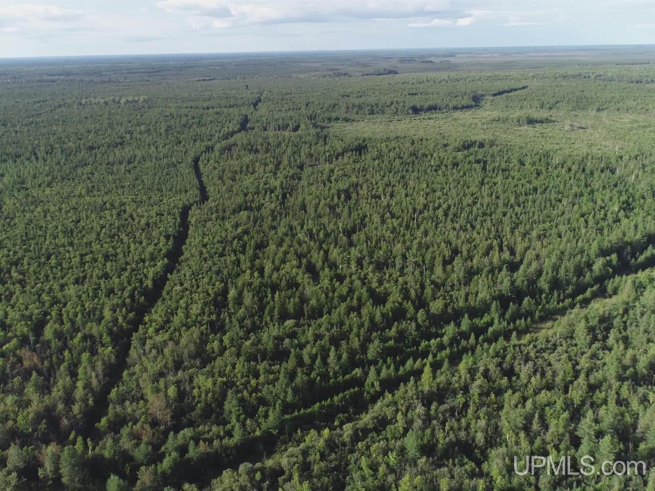 W 80-acres River Road Gulliver, MI 49840 - Photo 17 of 29