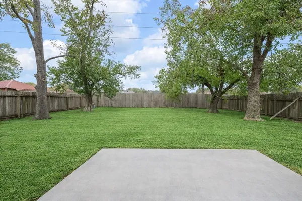 a view of a yard with a large tree