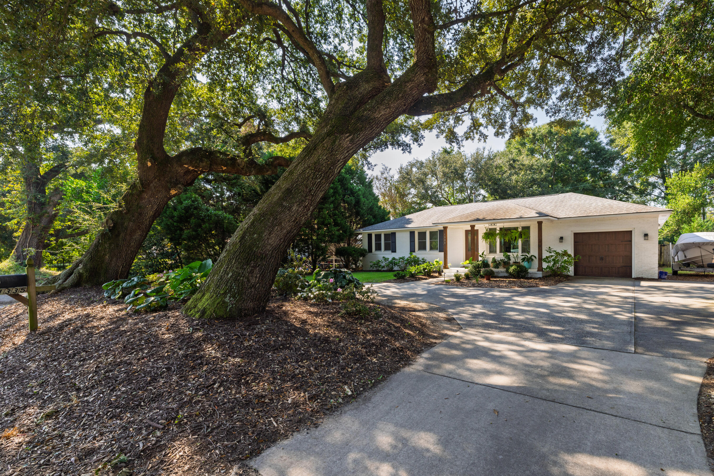 1335 Camp Road Charleston, SC 29412 - Photo 33 of 33 Large Oak Trees