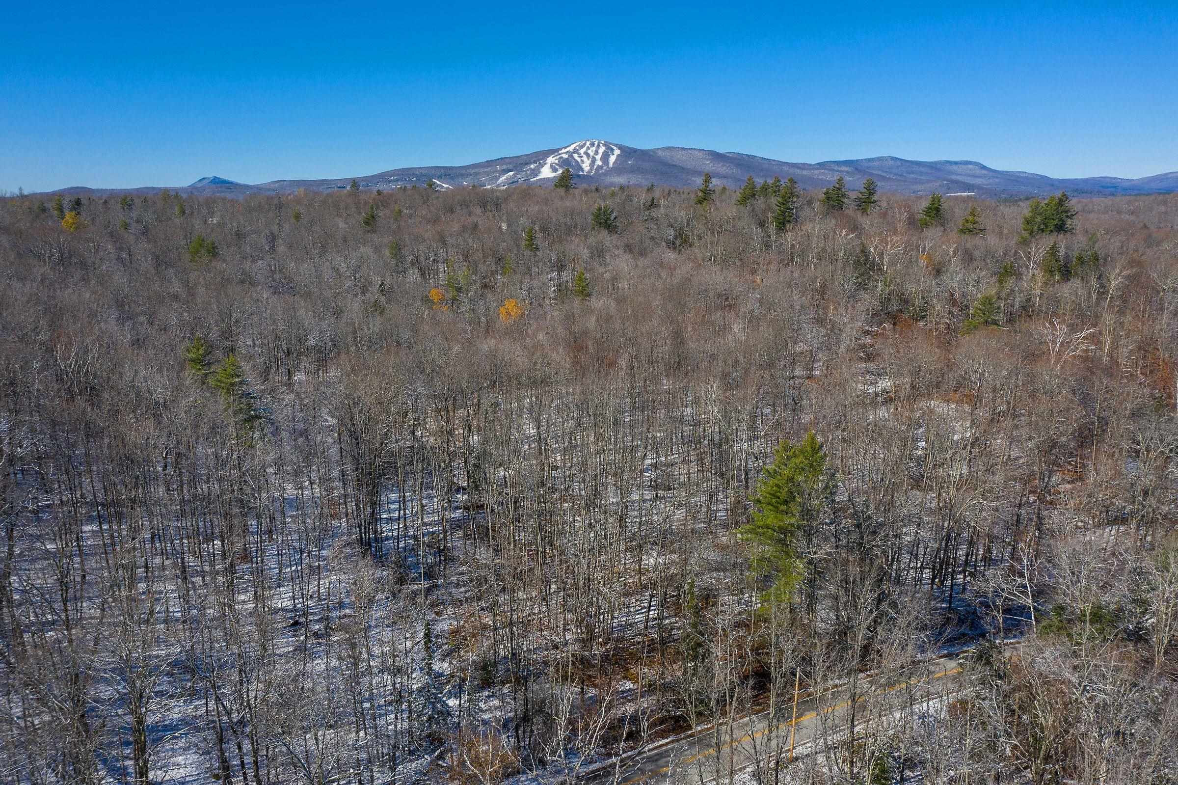 The Hollow Road Winhall, VT 05340 - Photo 2 of 17 Gallery Image 2