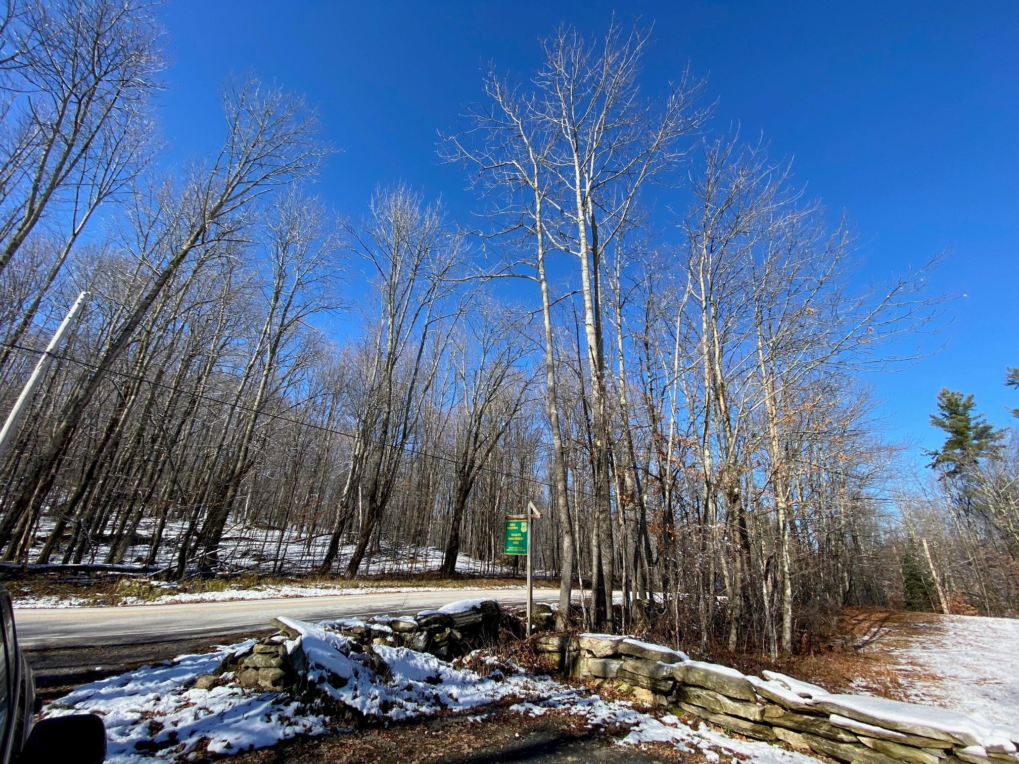 The Hollow Road Winhall, VT 05340 - Photo 13 of 17 Gallery Image 13