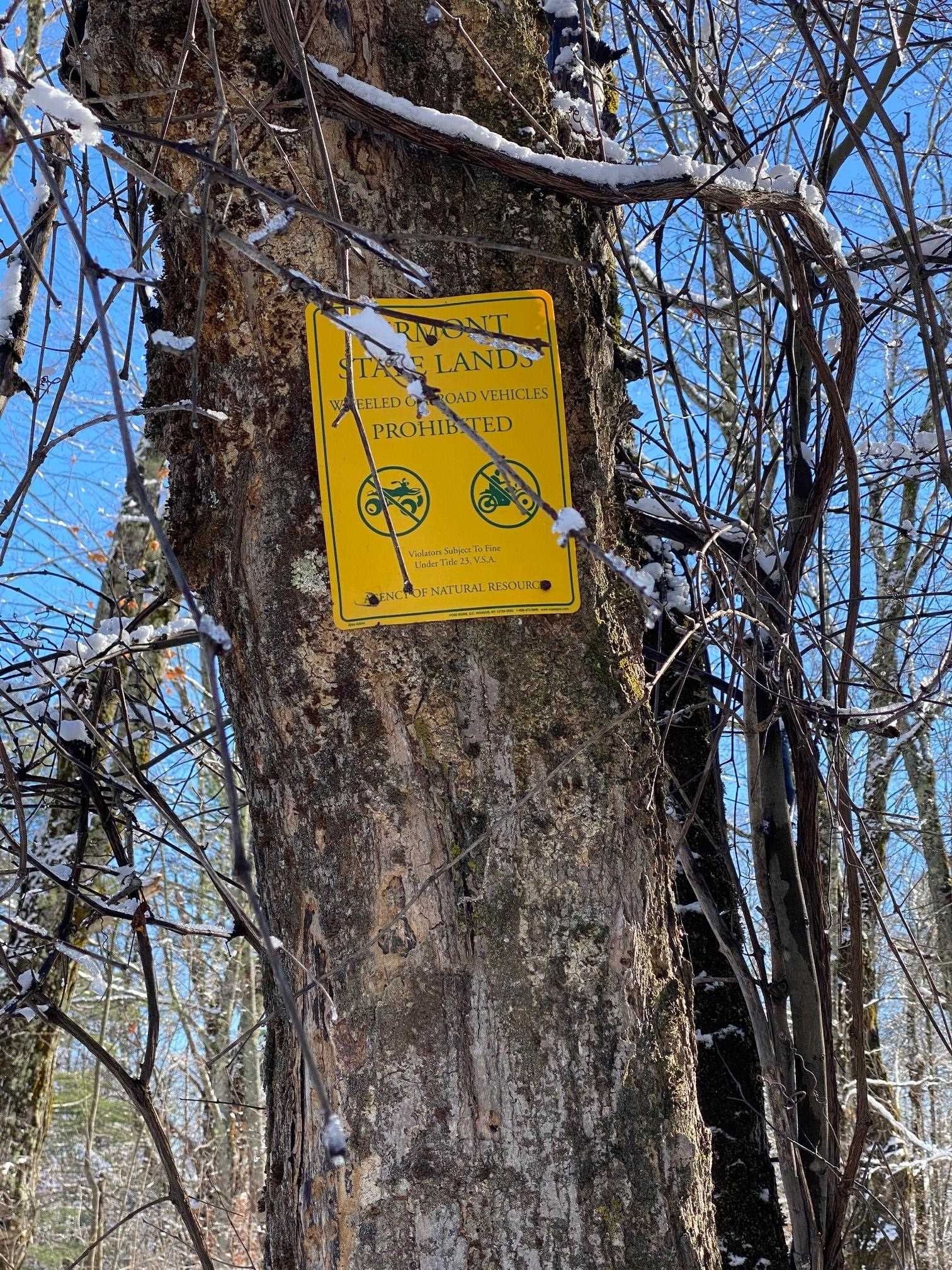 The Hollow Road Winhall, VT 05340 - Photo 15 of 17 Gallery Image 15