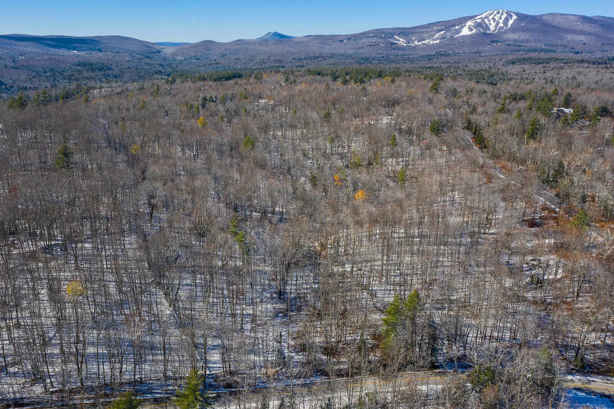 The Hollow Road Winhall, VT 05340 - Photo 6 of 17 Gallery Image 6