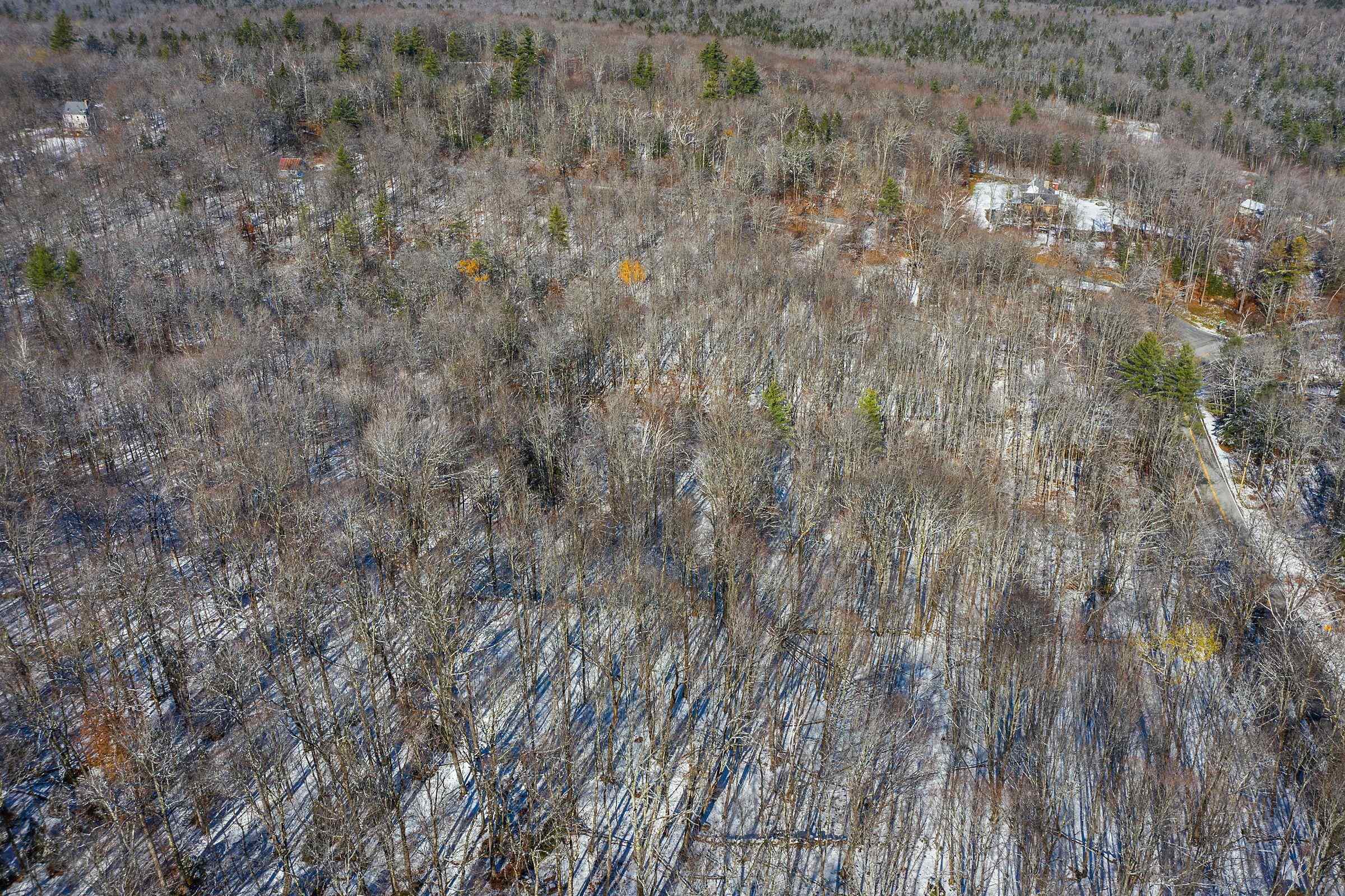 The Hollow Road Winhall, VT 05340 - Photo 7 of 17 Gallery Image 7