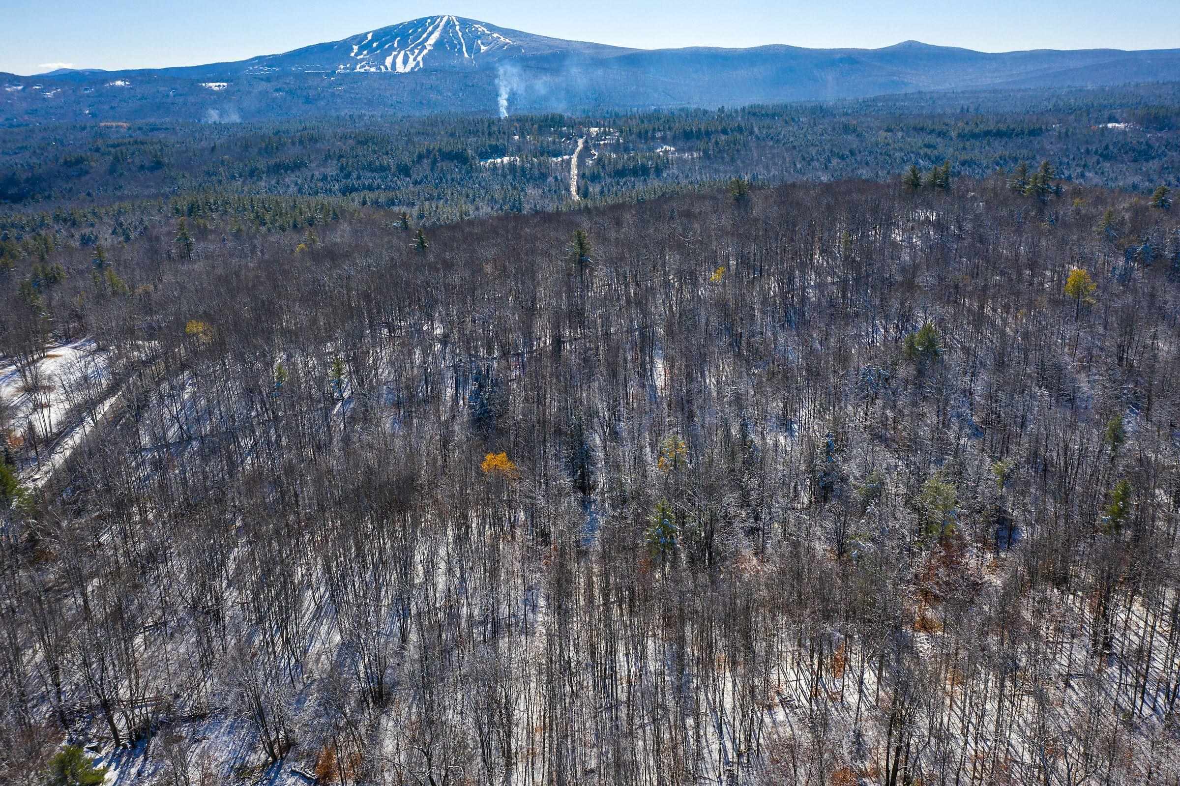 The Hollow Road Winhall, VT 05340 - Photo 9 of 17 Gallery Image 9