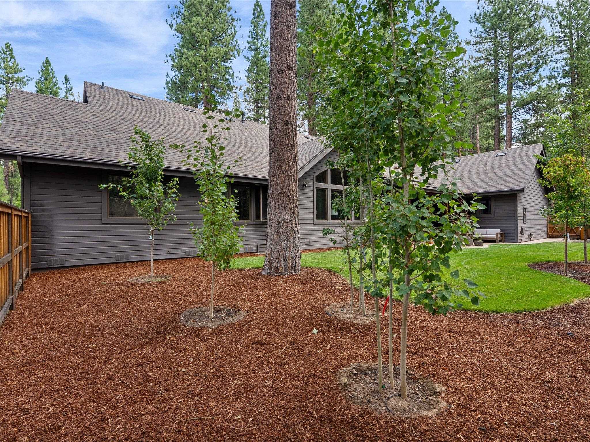 355 Quail View Circle Clio, CA 96106 - Photo 43 of 48 a backyard of a house with plants and large tree