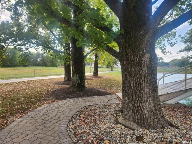 a tree in the middle of a yard