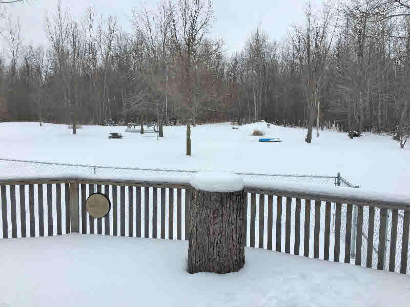 1716 West Erickson Road Linwood, MI 48634 - Photo 22 of 37