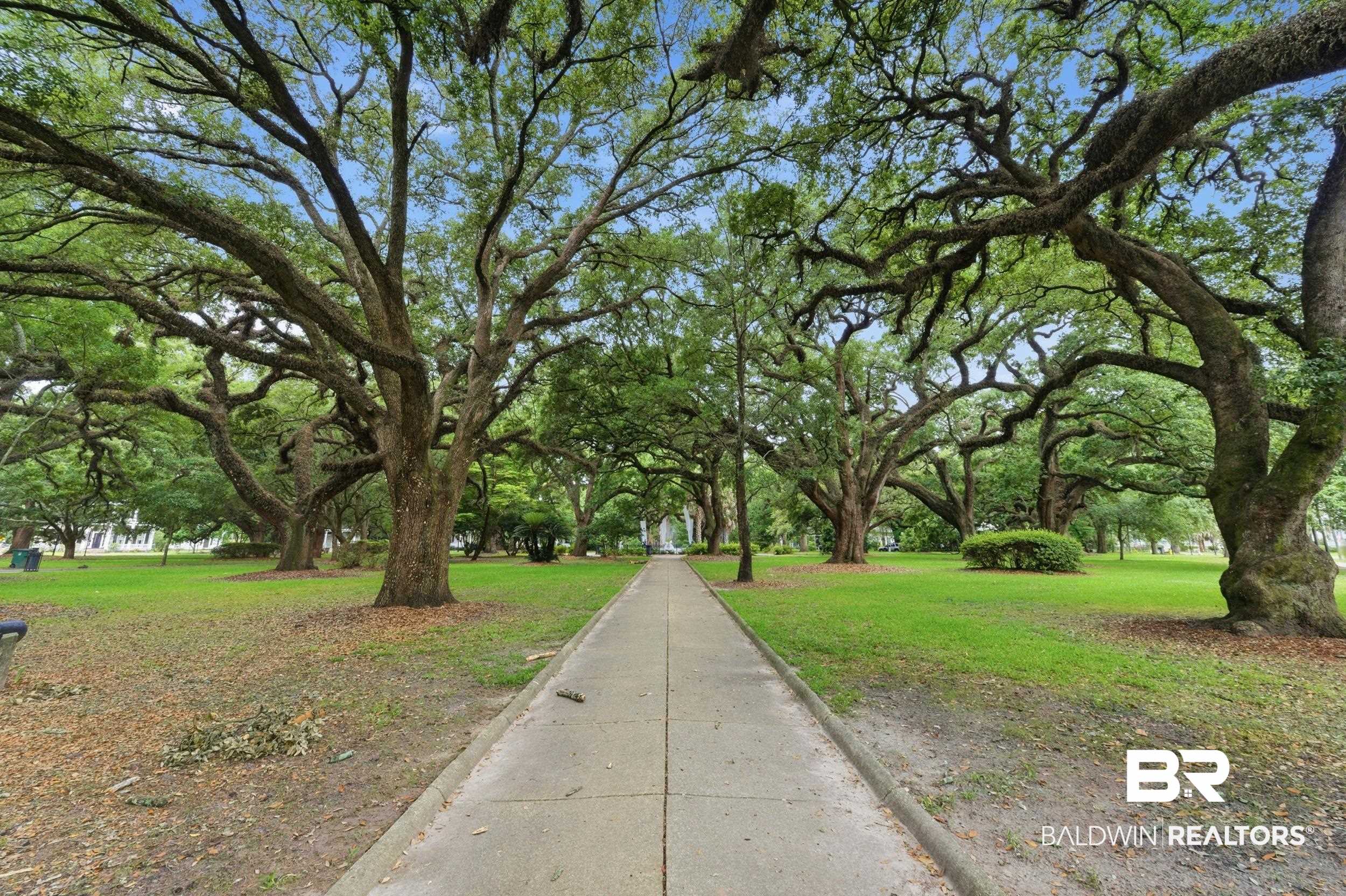 350 Charles Street Mobile, AL 36604 - Photo 51 of 52 Paved pathway surrounded by mature trees with expansive canopies and manicured green spaces