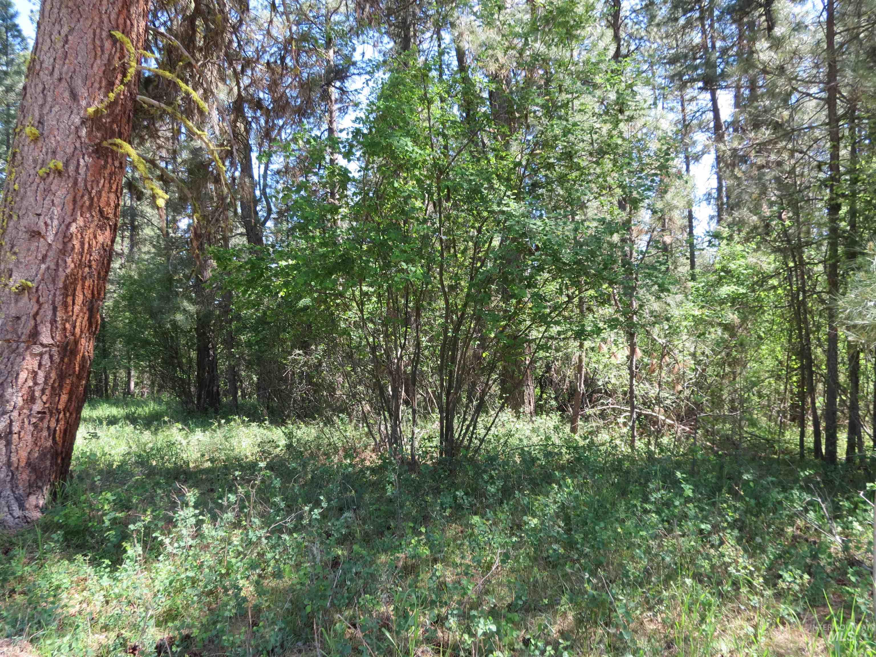Parcel C Caseys Road Garden Valley, ID 83622 - Photo 10 of 20
