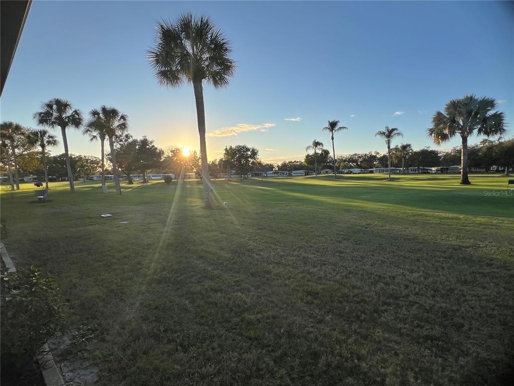 1100 South Belcher Road, Unit 469 Largo, FL 33771 - Photo 42 of 69