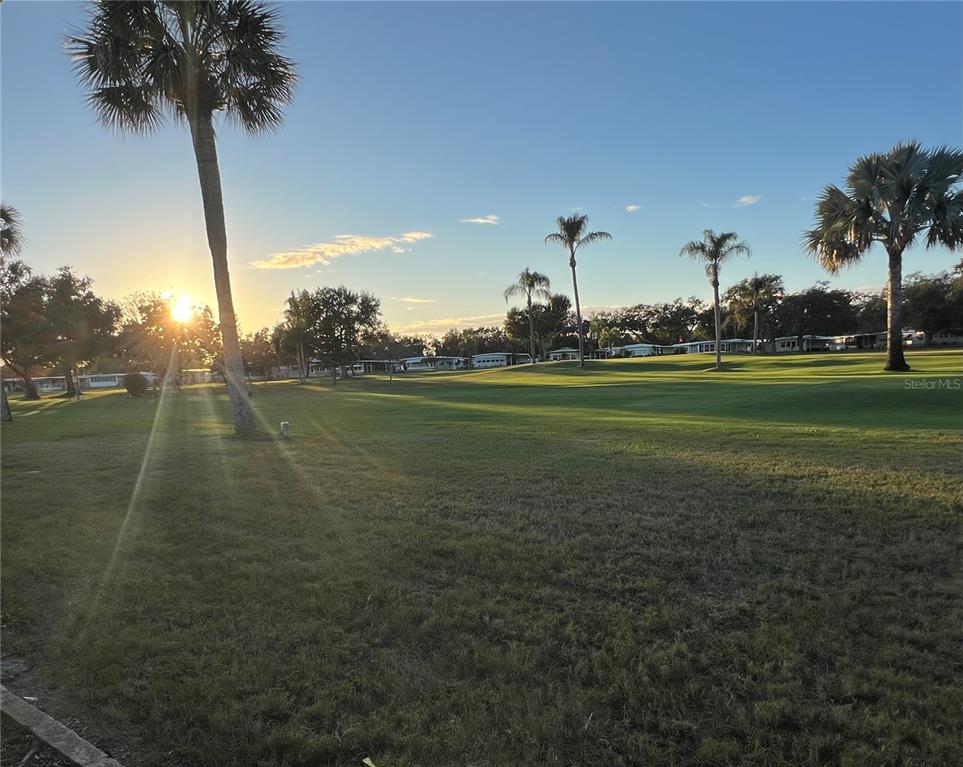 1100 South Belcher Road, Unit 469 Largo, FL 33771 - Photo 46 of 69