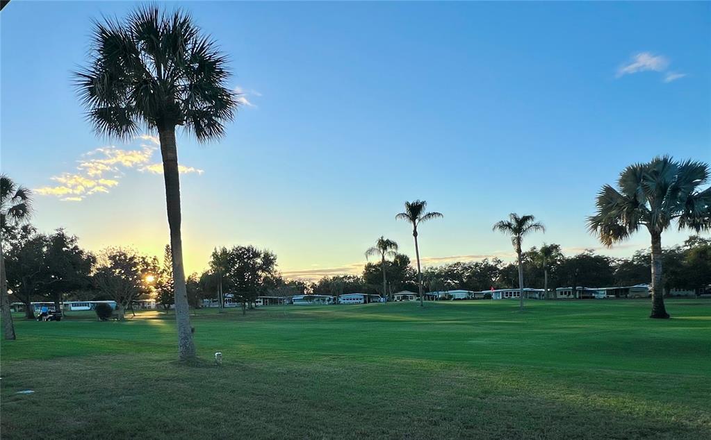 1100 South Belcher Road, Unit 469 Largo, FL 33771 - Photo 6 of 69 a view of a park with large trees