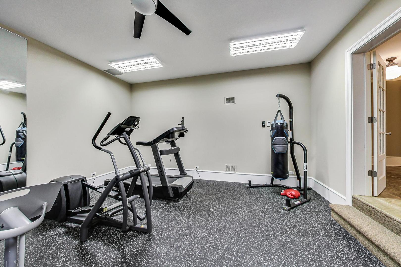701 Plamondon Road Wheaton, IL 60189 - Photo 41 of 79 a view of a room with gym equipment
