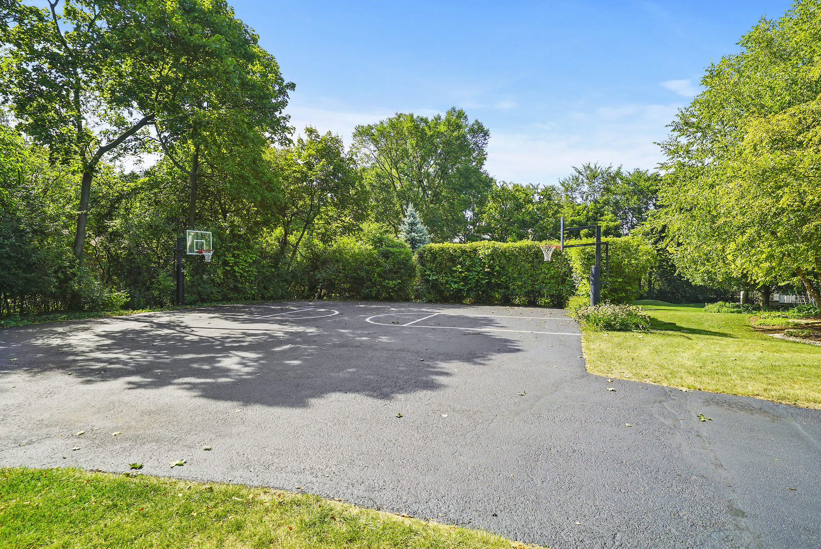 701 Plamondon Road Wheaton, IL 60189 - Photo 66 of 79 a view of a yard with an outdoor space