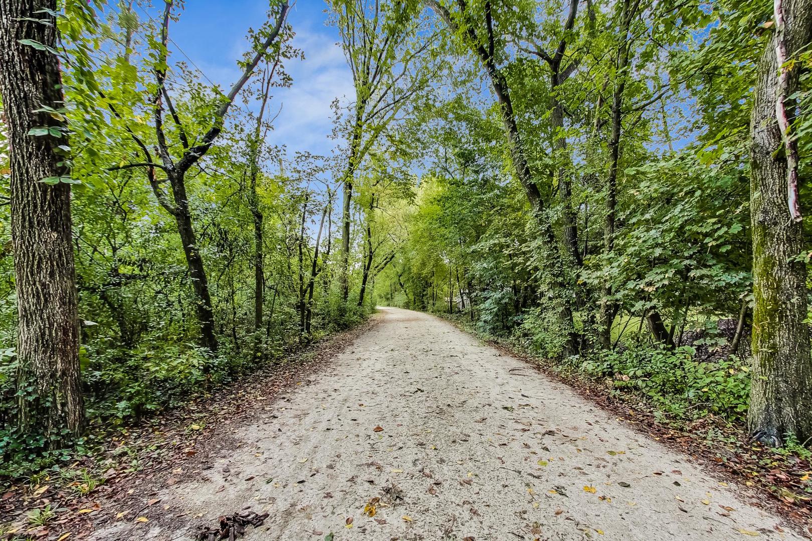701 Plamondon Road Wheaton, IL 60189 - Photo 78 of 79 a view of a yard with plants and large trees
