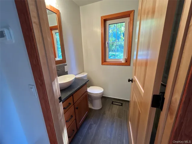 a bathroom with a sink and a toilet