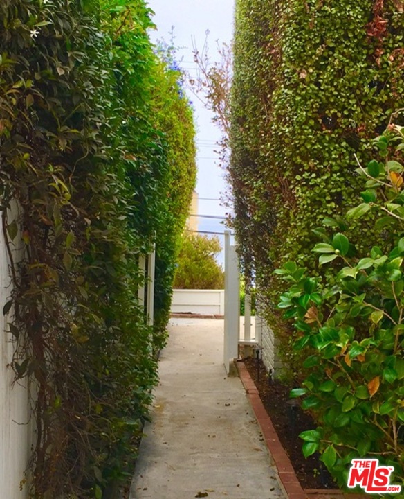 25121 Malibu Road Malibu, CA 90265 - Photo 11 of 16 a view of a yard with plants and large trees