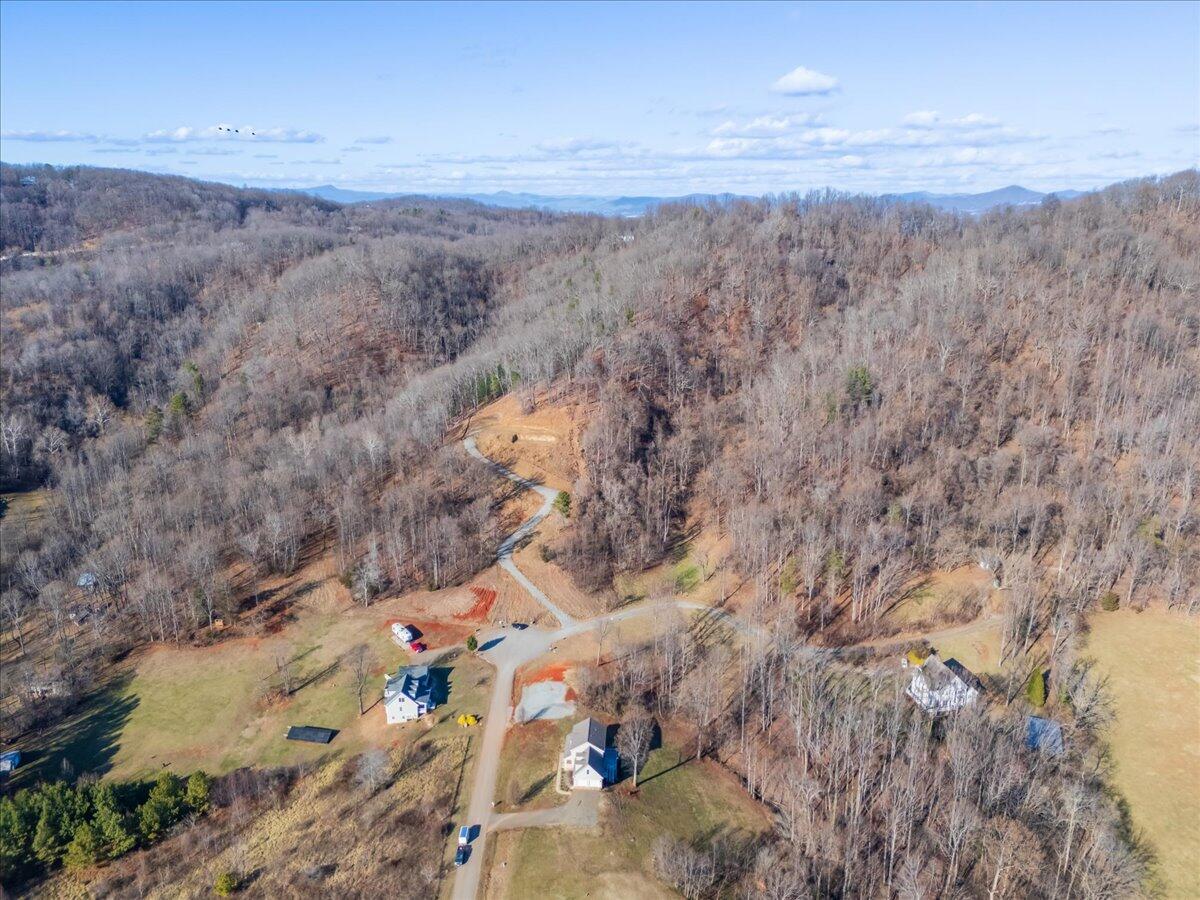 350 Valley Road Hardy, VA 24101 - Photo 41 of 49 43-350 Valley Rd_43
