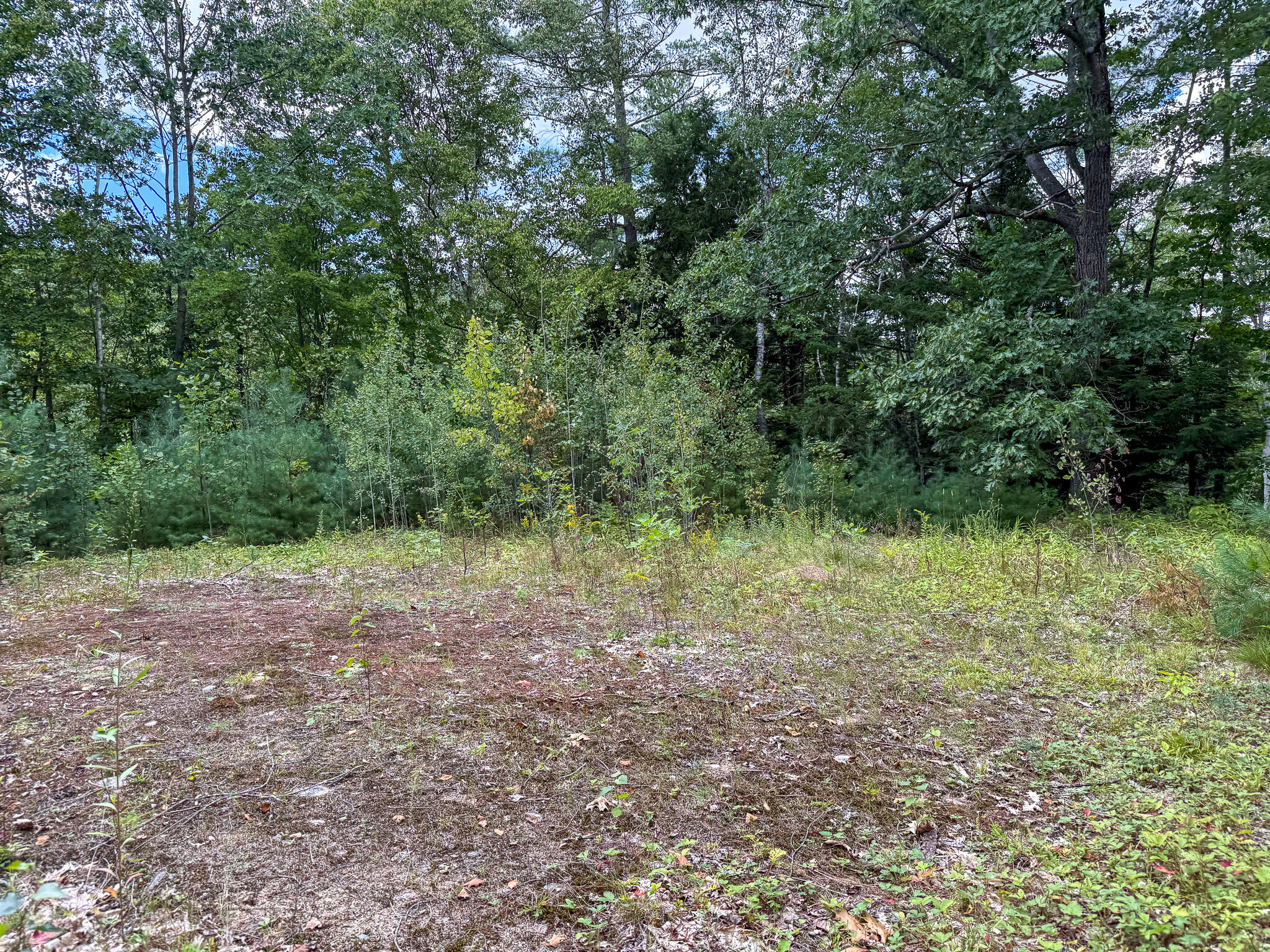 1288 Roxbury Road Roxbury, ME 04275 - Photo 3 of 14 IMG_1540