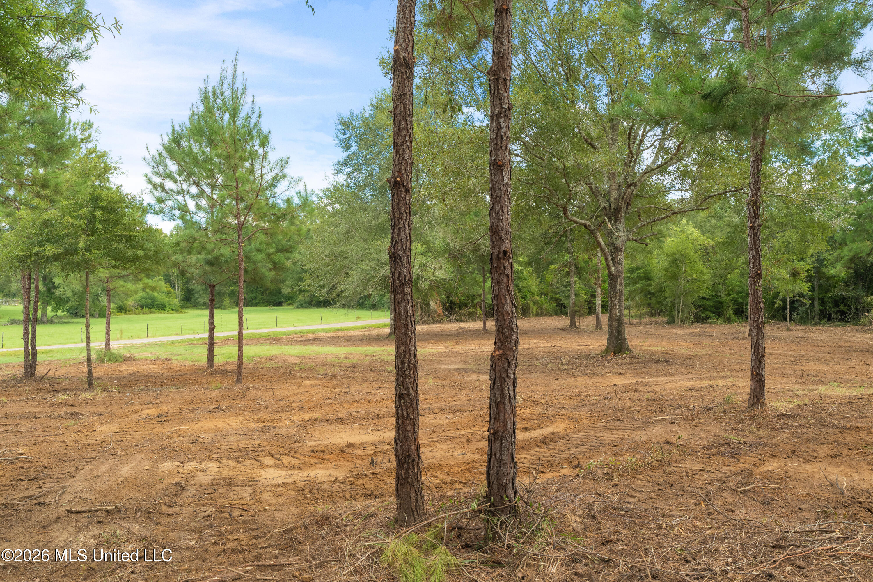 2705 Pilgrims Rest Road Magnolia, MS 39652 - Photo 31 of 68 2629_Pilgrims_Rest_Rd_Lot_2-12