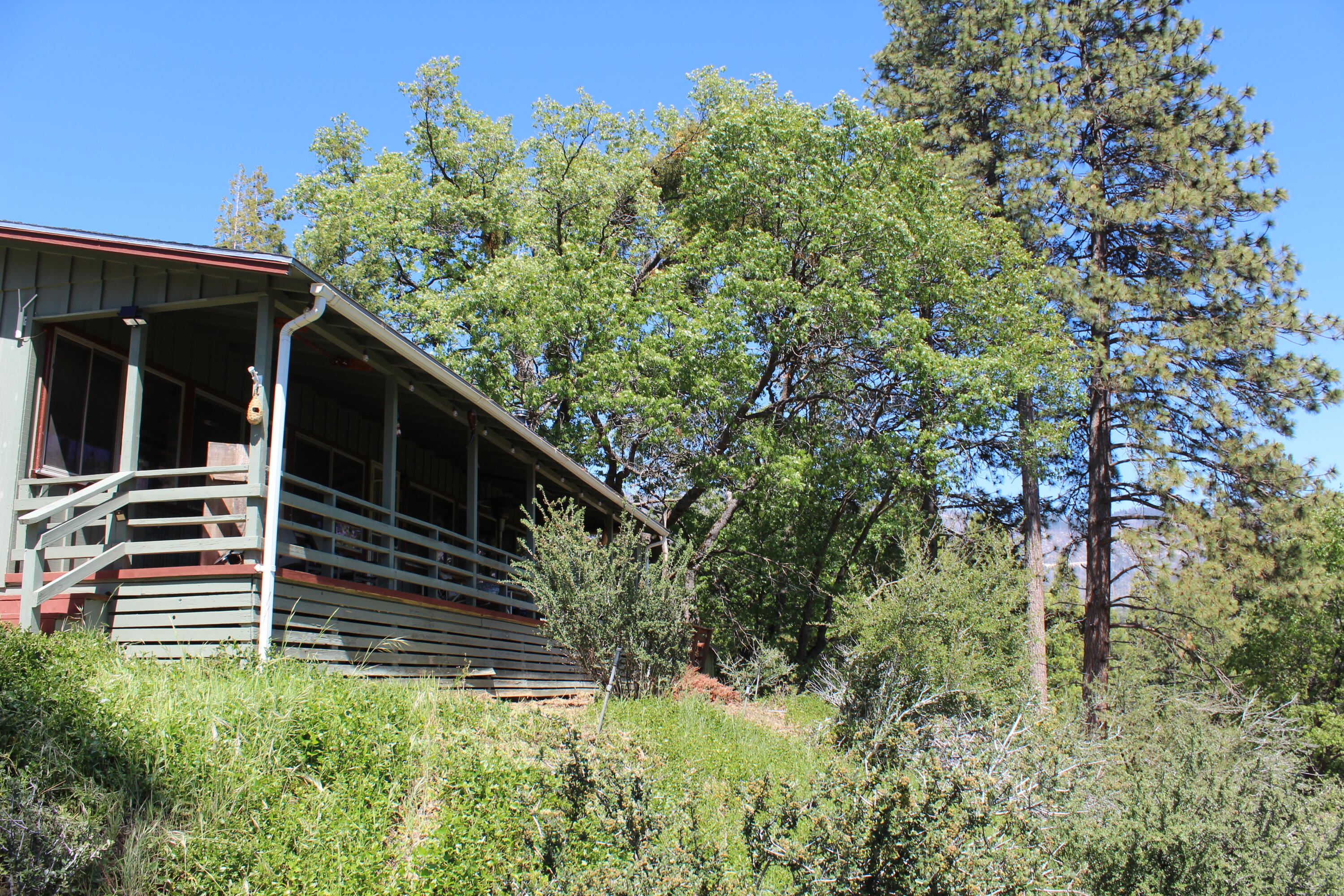 427 Sutherland Drive Springville, CA 93265 - Photo 44 of 55 IMG_9282