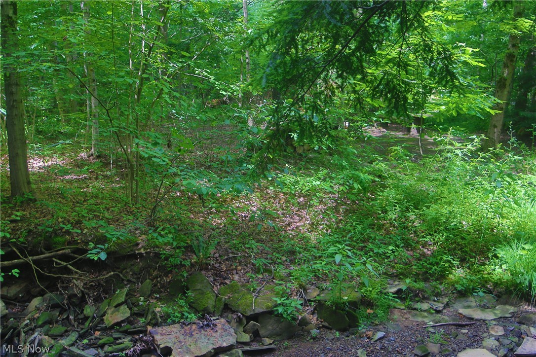 7250 Brakeman Road Painesville, OH 44077 - Photo 12 of 17 Wooded property featuring mature trees, diverse undergrowth, and natural rock formations