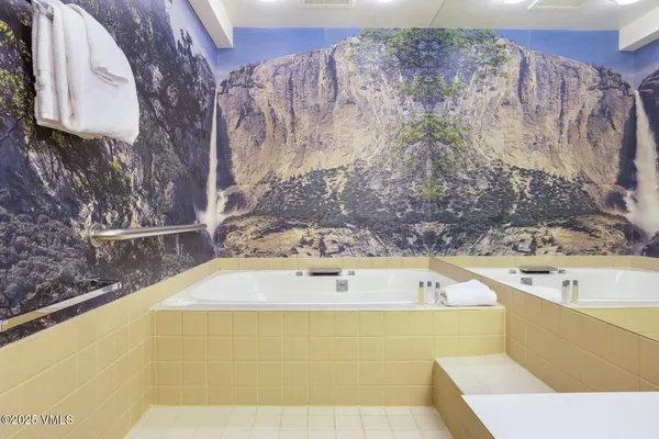 $4,695,000 | 450 East Lionshead Circle, Unit 6A, Vail, CO 81657