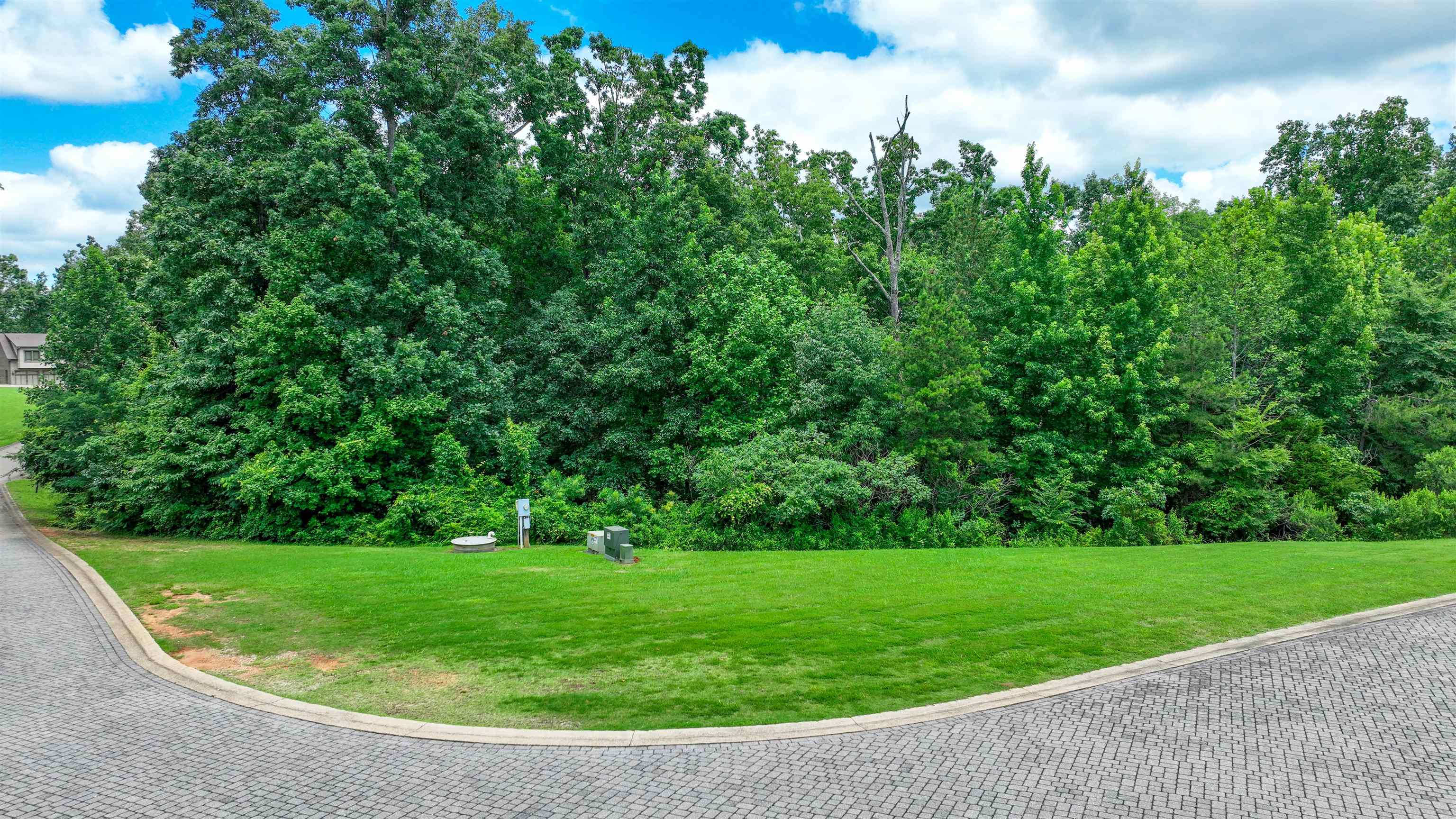 59 Breathtaking Loop Savannah, TN 38372 - Photo 10 of 34