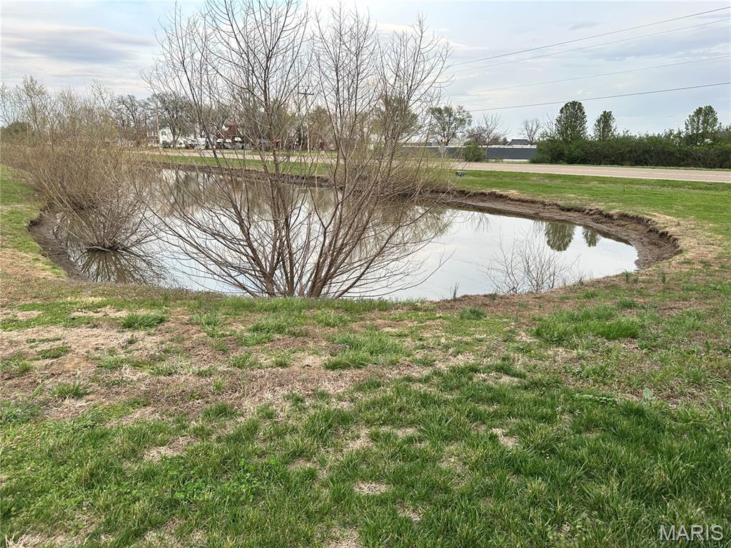 3752 Kristine Drive Pontoon Beach, IL 62040 - Photo 20 of 20