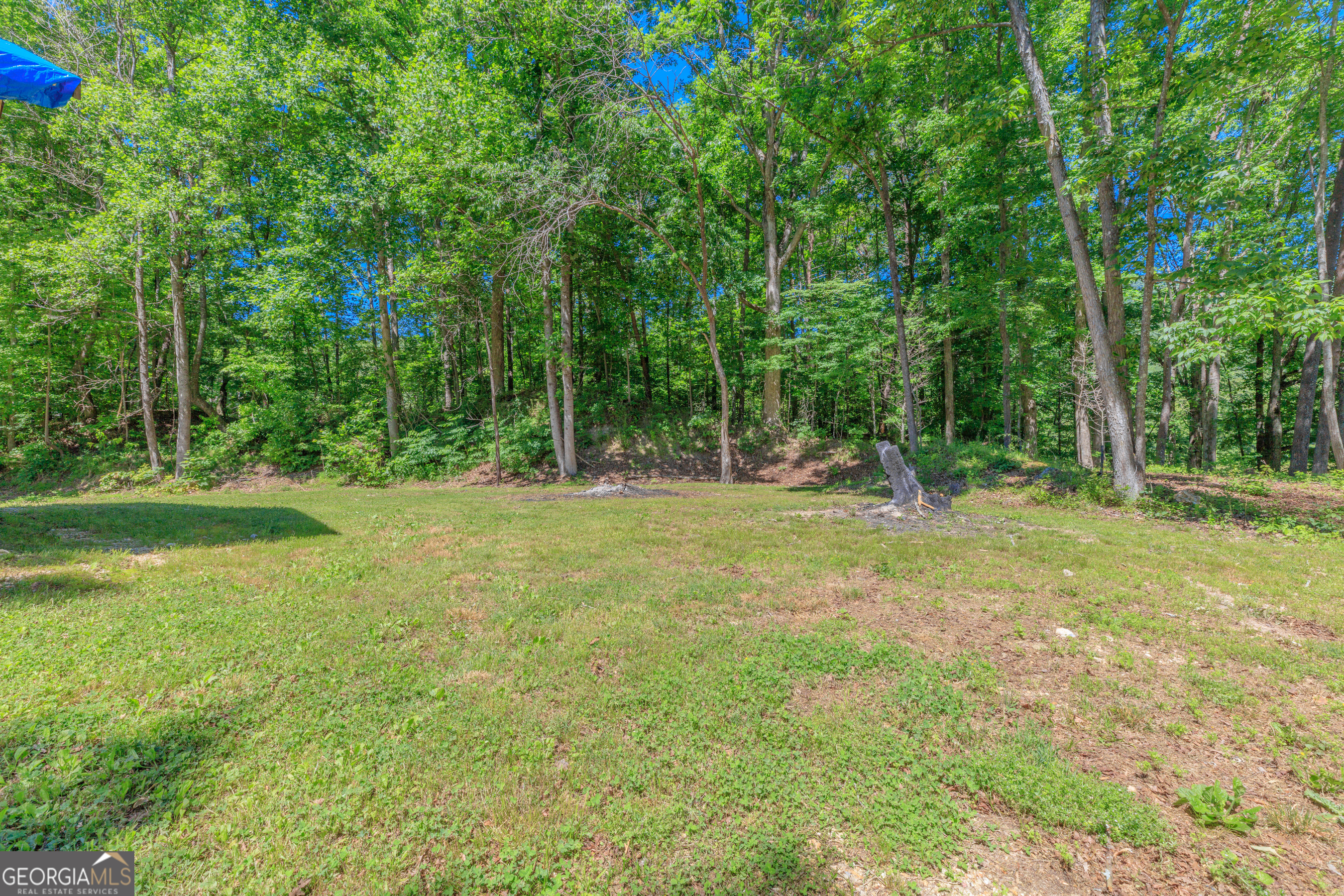 1004 Crow Gap Road Chickamauga, GA 30707 - Photo 31 of 36 a view of outdoor space with trees all around