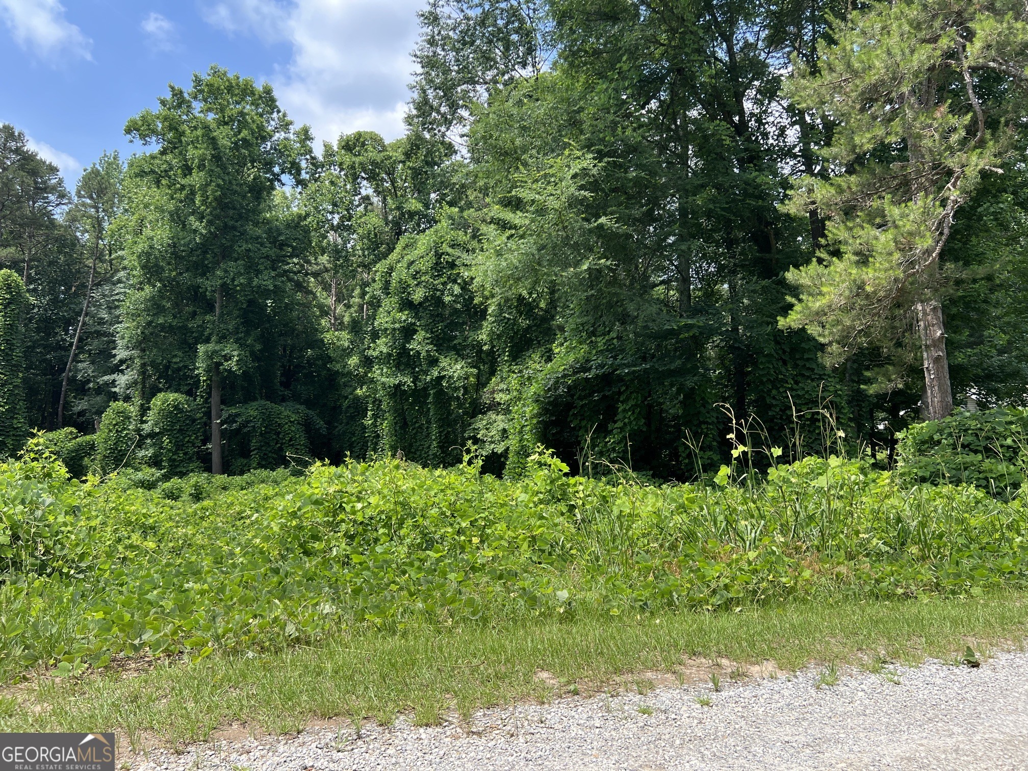 0 Tom Yarbrough Commerce, GA 30558 - Photo 1 of 1