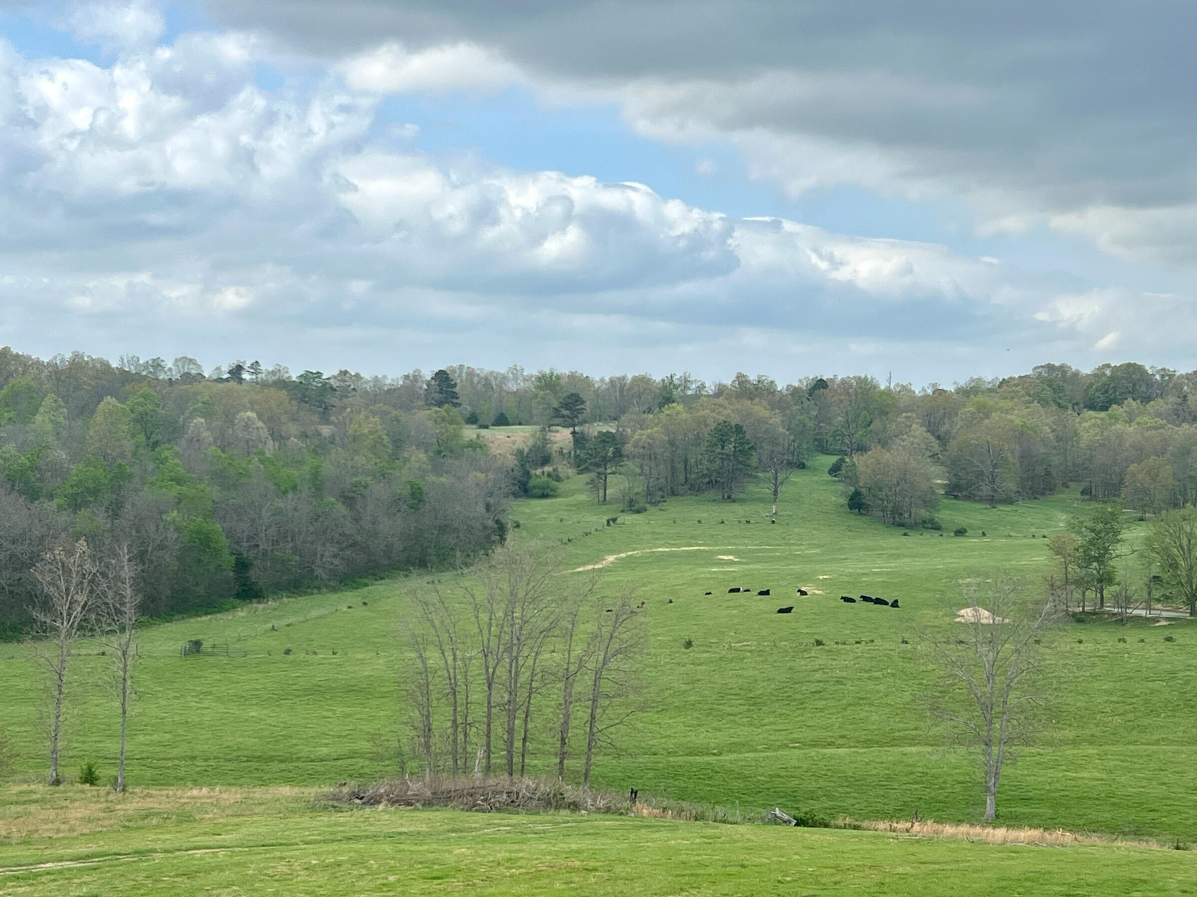 4083 State Route West West Plains, MO 65775 - Photo 50 of 72 49