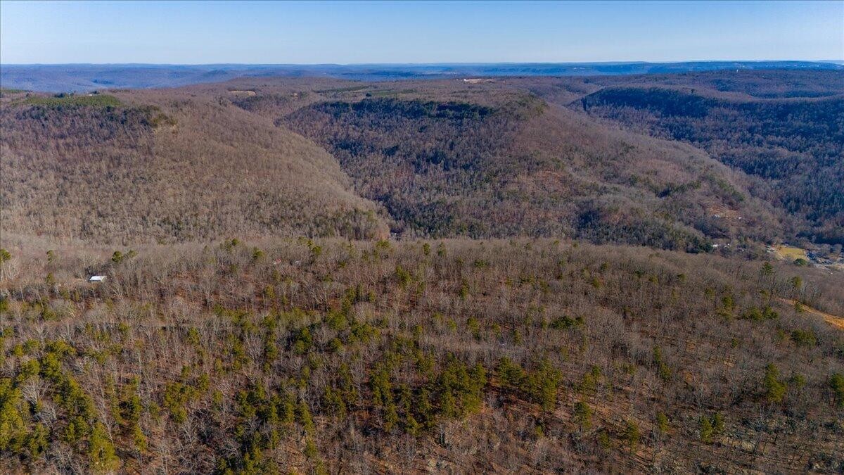0 Old Harris Turnpike Road South Pittsburg, TN 37380 - Photo 11 of 15 a view of a dry top of a building