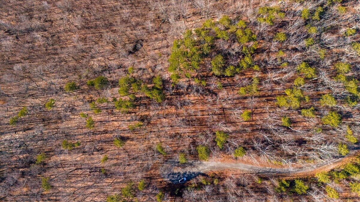 0 Old Harris Turnpike Road South Pittsburg, TN 37380 - Photo 13 of 15 a view of a yard