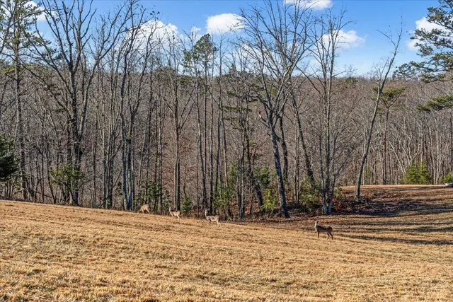 $255,000 | 0 Old Harris Turnpike Road, South Pittsburg, TN 37380