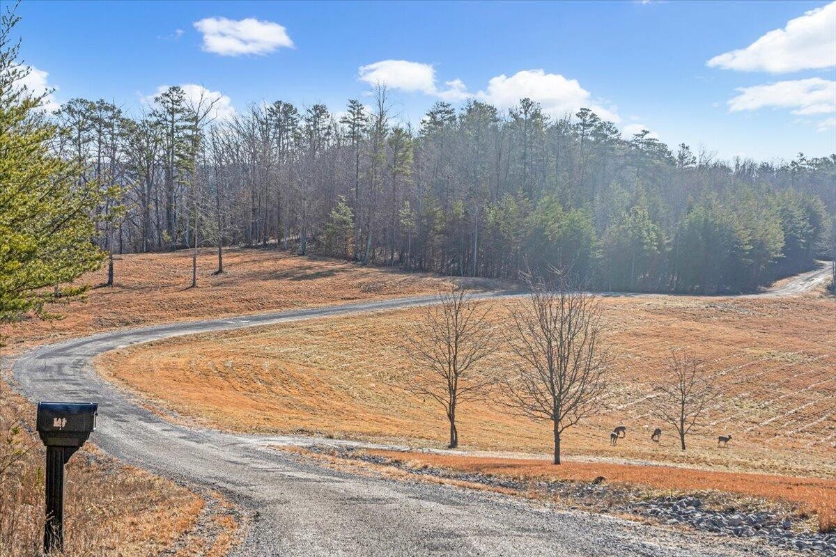 0 Old Harris Turnpike Road South Pittsburg, TN 37380 - Photo 15 of 15 a view of a backyard of the house