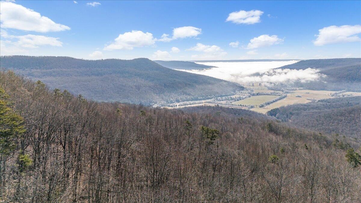 0 Old Harris Turnpike Road South Pittsburg, TN 37380 - Photo 2 of 15 a view of a dry yard with mountains in the background