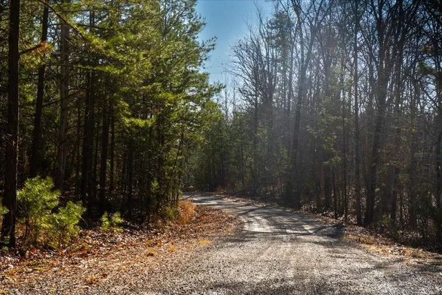 a view of a dry yard